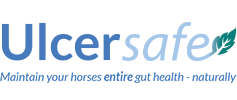 Ulcersafe Logo